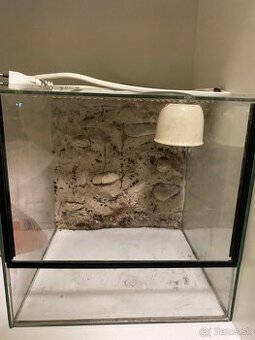 Terarium 30x30x30 - 1