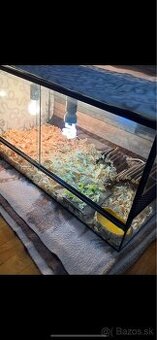 Terárium s bočným vetraním
