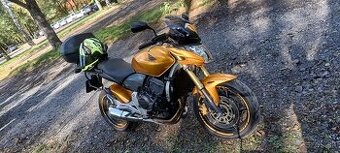 Honda Hornet