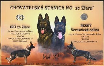 Predám šteniatka - Nemecký ovčiak