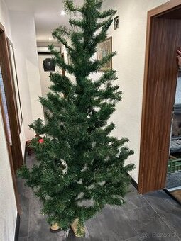 Predam Vianocny stromcek