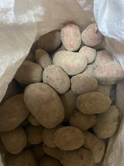 Konzumne zemiaky laura