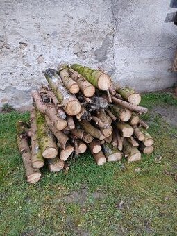 PALIVOVÉ DREVO SMREJOVÉ