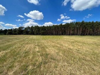 Lúka pod lesom v Jablonovom