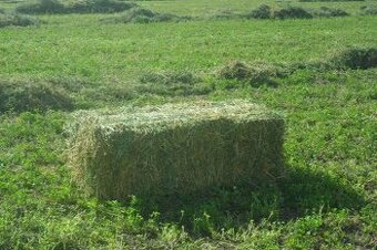Predaj seno /male /velké balíky