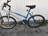 Dámsky bicykel značky