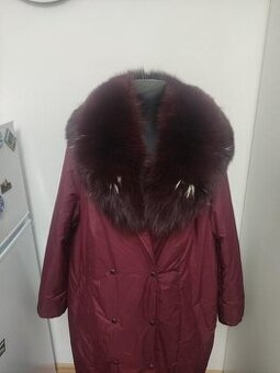 Golier,pravá líška..bordova
