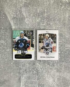 Hokejové kartičky Slováci v CZ