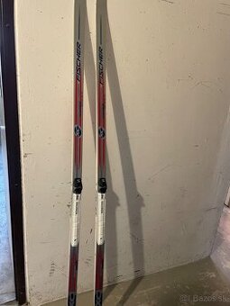 Bežky šupinové FISCHER 200