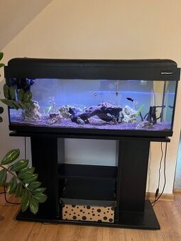 Akvárium so stojanom