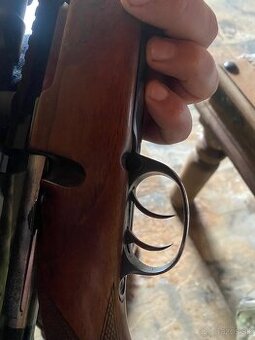 Gulovnica .308 wiinchester