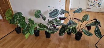 Umelá rastlina IKEA FEJKA