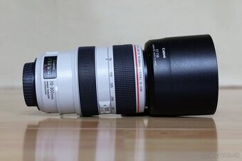 Canon 70-300mm f/4-5.6 L IS USM