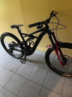 Specialized Kenevo 2019