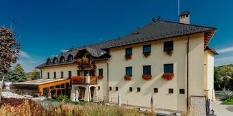 Pomocná sila v kuchyni