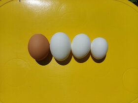 Veľkonočné biele vajíčka
