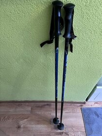 Lyžiarske palice Fischer 120cm - 1