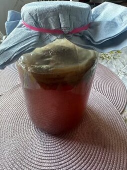 Kombucha