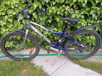 Bike Kenzel