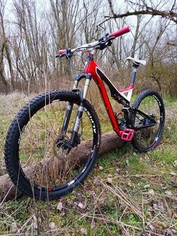 29,, Specialized Carbon Stumpjumper