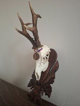 Trofej medailového srnca