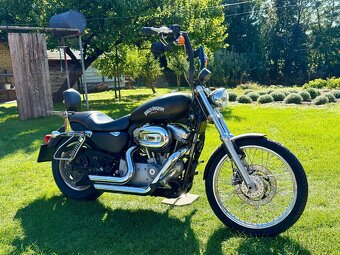 Harley Davidson Sportster 883 v TP 25 KW