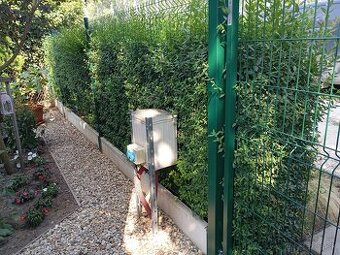 pletivové ploty na kľúč