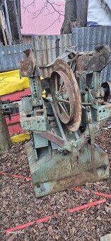 Sadzač zemiakov český