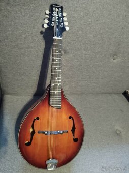 A-typ mandolína- celomasív