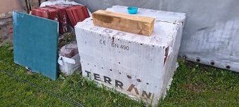 Skridla terran synus