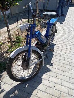 Babeta 207