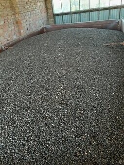 predam slnecnicu ciernu-MOCENOK