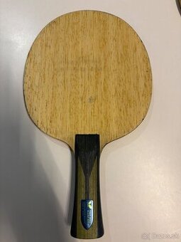 Butterfly Timo Boll T5000