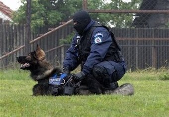 Nemecký ovčiak Belgický ovčiak Malinois