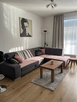 Prenajom 2 izboveho bytu