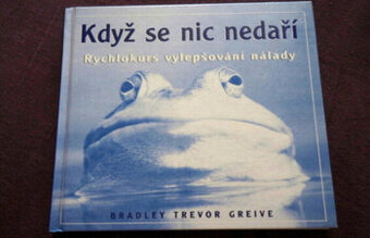 knizka Kdyz se nic nedari Rychlokurs vylepsovani nalady