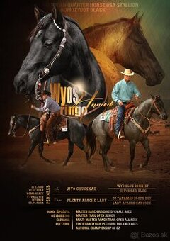 Pripúšťanie Quarter Horse
