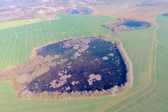 Ižkovce – 3.855 m2 ORNÁ PÔDA a LESY