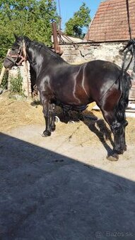 Kone