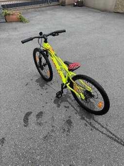 Kellys 24”