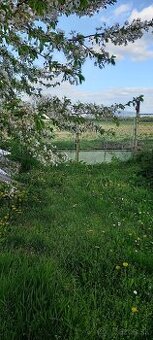 Predaj pozemku v Komárovciach