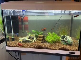 Predám 60l akvarium