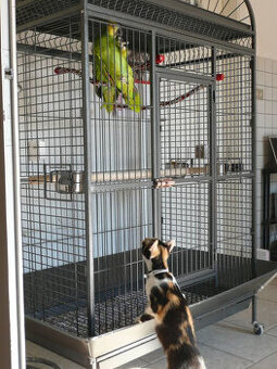 Klietka - voliéra pre vtáky, zvieratá