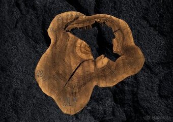 Predám orechové priečne rezy