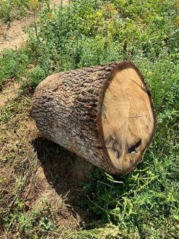 Dubovy pen=stol do exteriu