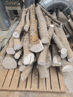 Lipa pre rezbárov a umelcov