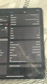IPAD PRO 12,9 256GB