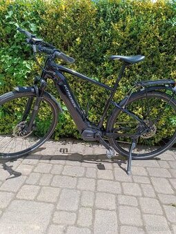 Treking ebike