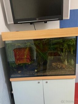 Darujeme akvárium-rezervované