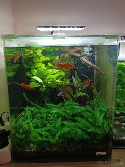 Osvetlenie akvaria, led.